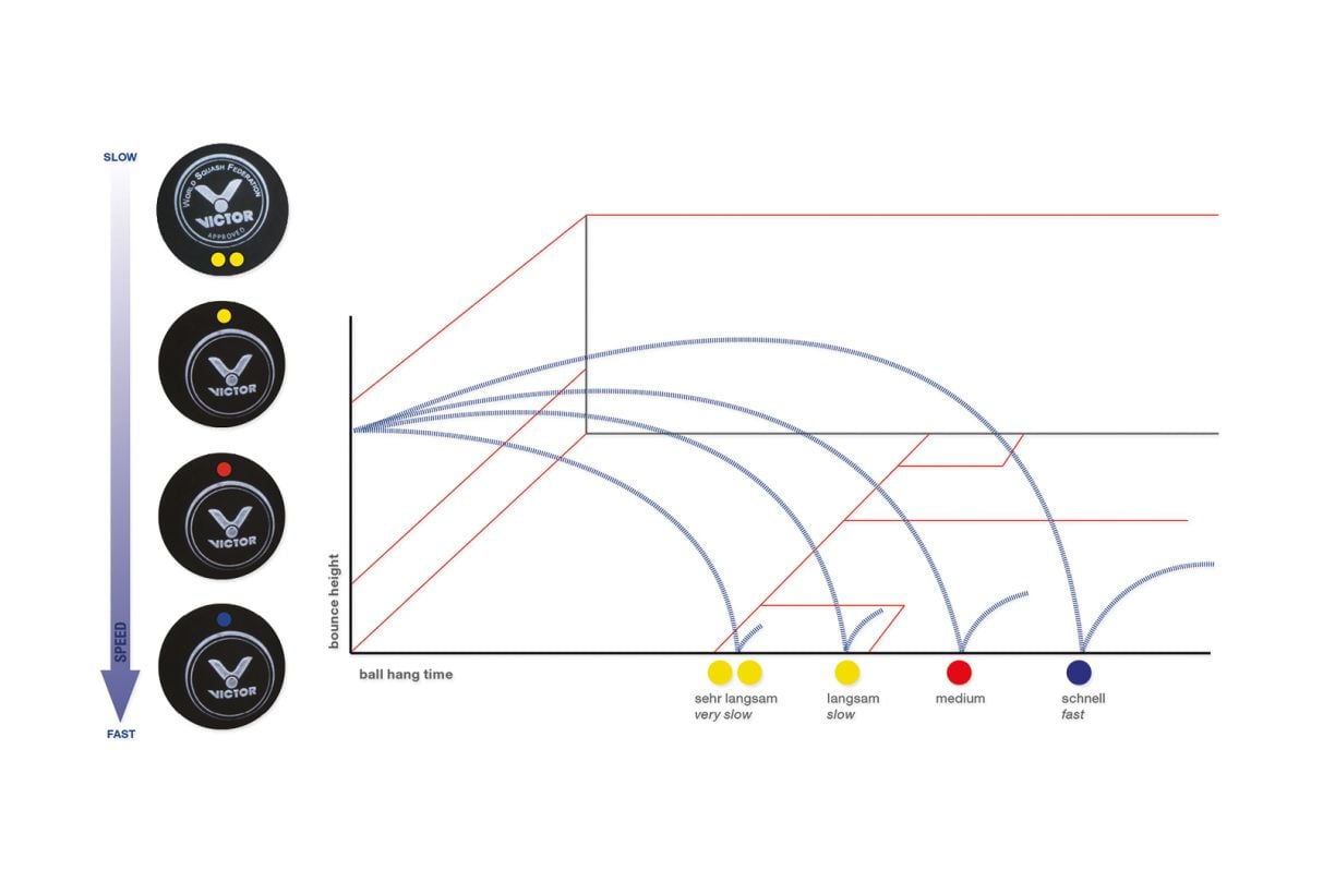 SquashRegeln im Überblick Kübler Sport Magazin