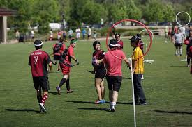 Die Sportart Quidditch