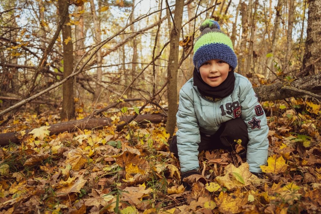 Waldspiele: Auf leisen Pfoten