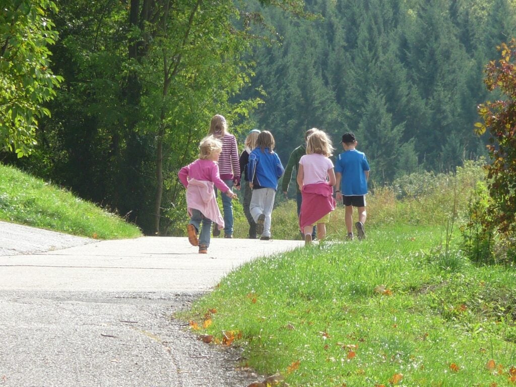 Waldspiele für den Ausflug in den Wald 