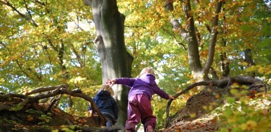 Wald Kinderspiele