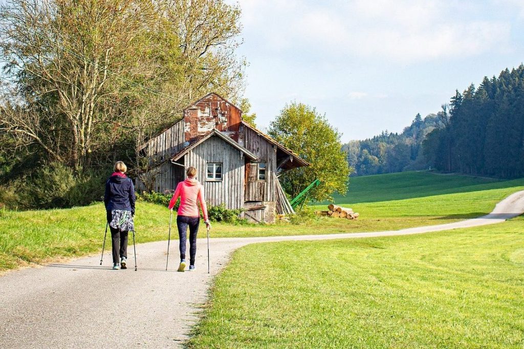 Wander & Walkingstöcke wo liegen die Unterschiede? Kübler Sport