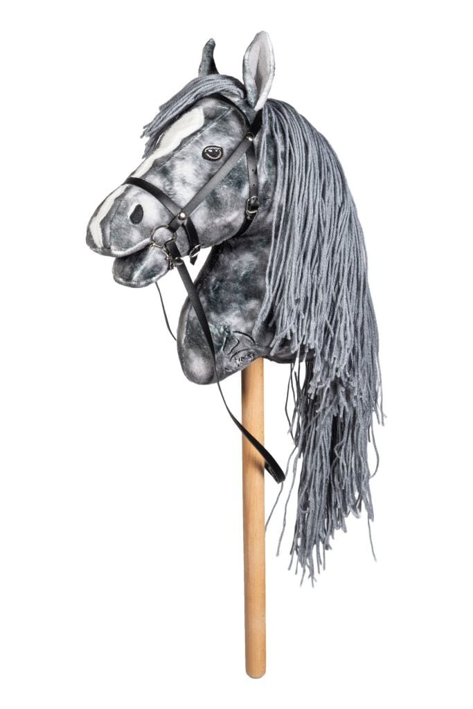 Hobby Horse