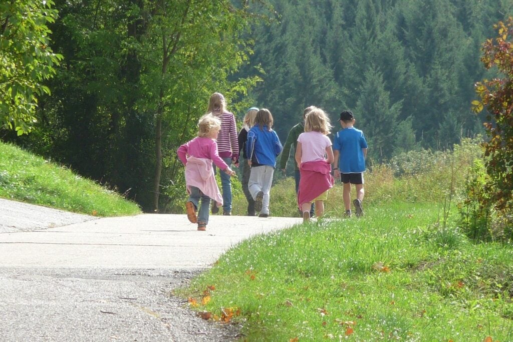 Kindergruppe im Wald