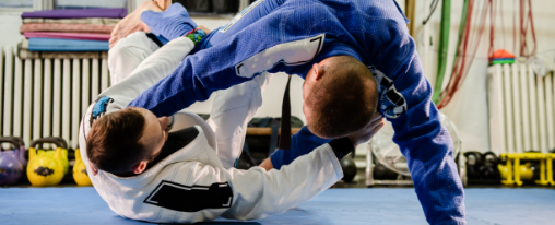 Karate Ausrüstung und Taekwondo Zubehör online kaufen bei Kübler Sport Karate- und Taekwondo-Sportler in traditioneller Ausrüstung und mit Schutzzubehör während des Trainings im Dojo