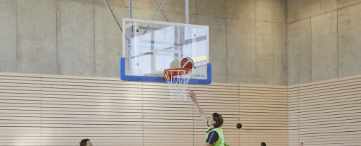 Basketballbrett für den Teamsport: Robuste Rückwand mit Basketballkorb in Sporthalle