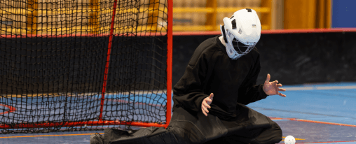 Robustes Hockey Tor für Teamsport auf dem Spielfeld – stabile Torpfosten und Netz, geeignet für Training und Wettkampf