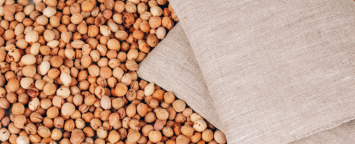 Mehrere Kirschkernkissen aus nat&uuml;rlichen Materialien f&uuml;r die W&auml;rmetherapie im Therapiebedarf, nebeneinanderliegend auf hellem Hintergrund