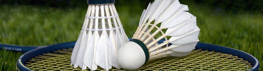 Badmintonbälle Badmintonbälle