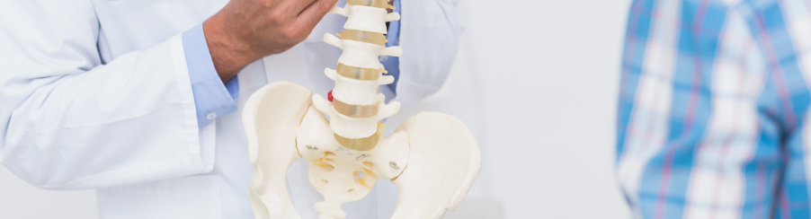 Becken & Wirbelsäulenmodelle Becken & Wirbelsäulenmodelle