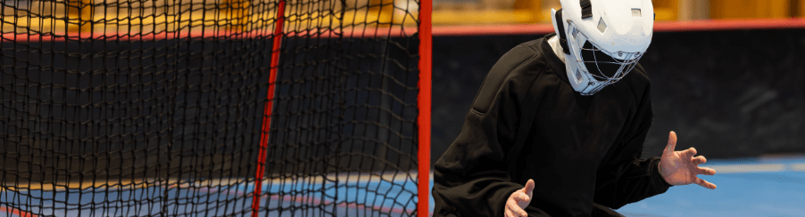 Hockeytore