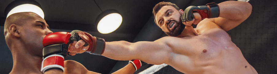 MMA Handschuhe