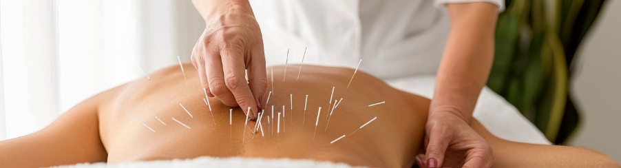 Traditionelle chinesische Medizin Traditionelle chinesische Medizin