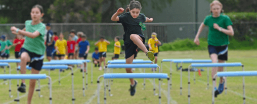 Trainingshürden für Leichtathletik Verstellbare Trainingshürden für Techniktraining im Sprint- und Hürdenlauf – ideal für Schule, Verein und ambitioniertes Leichtathletiktraining.
