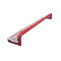 Pondhockey-Tor