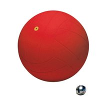 WV® Torball