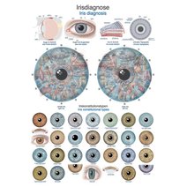 Lehrtafel - Irisdiagnose