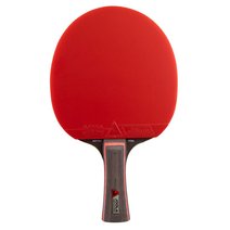 Joola® Tischtennisschläger Match Pro