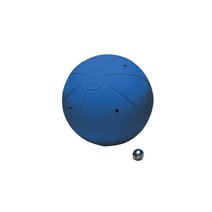 WV® Goalball