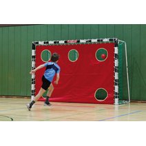 Torwandplane für Handballtor