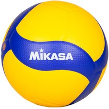 Mikasa® Volleyball V200W VBL