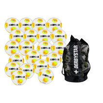 Derbystar® XXL-Trainingsset 20 Fußbälle APUS TT DB