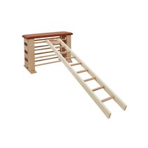 Kübler Sport Kletterleiter VARIANTA