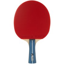 JOOLA® Tischtennisschläger TEAM PREMIUM