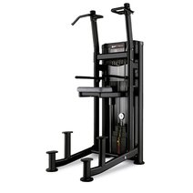 BH Fitness® Inertia Klimmzug und Dip L450B