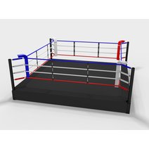 Profi Trainingsring, 50 cm Plattform