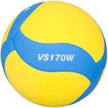 Mikasa® Volleyball VS170W