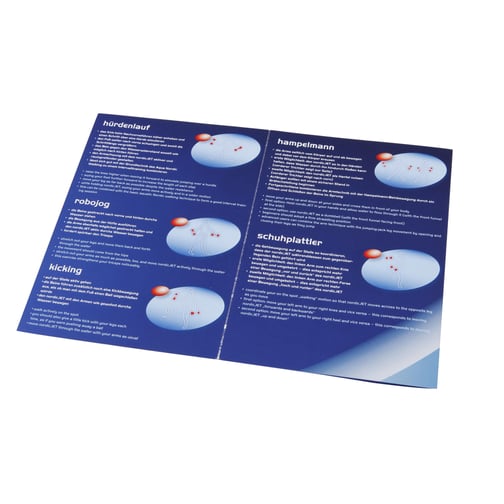 BECO® Aqua nordicJET