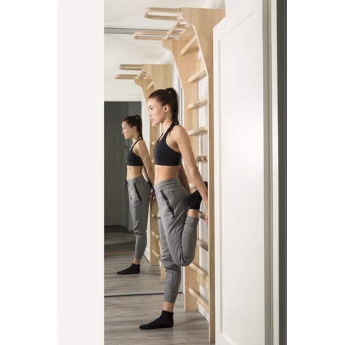 FitWood® AARNI Sprossenwand