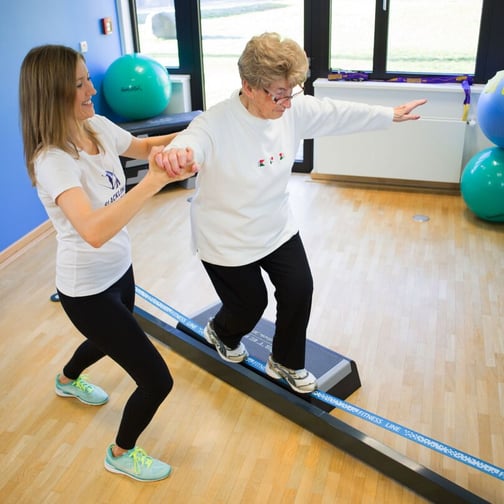GIBBON® SlackRack Fitness 