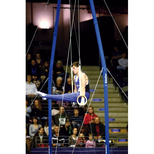 Bänfer® Ringegerüst Exklusiv Microswing