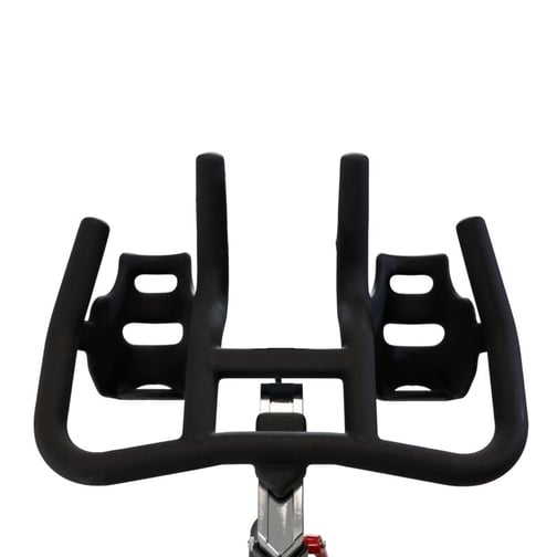 BH Fitness® Indoor Bike Duke H920R