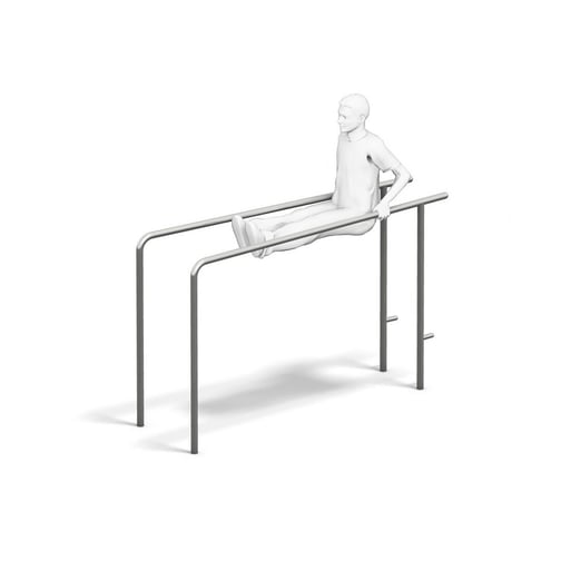 4FCIRCLE® Station Dips-Barren 2-fach