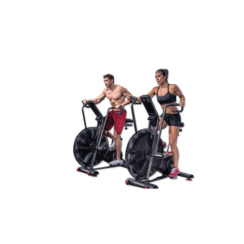 Schwinn® Airdyne® AD8