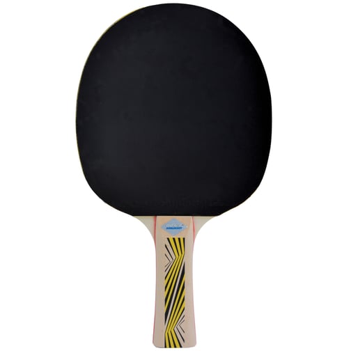 Donic-Schildkröt® Tischtennisschläger Legends 500 FSC