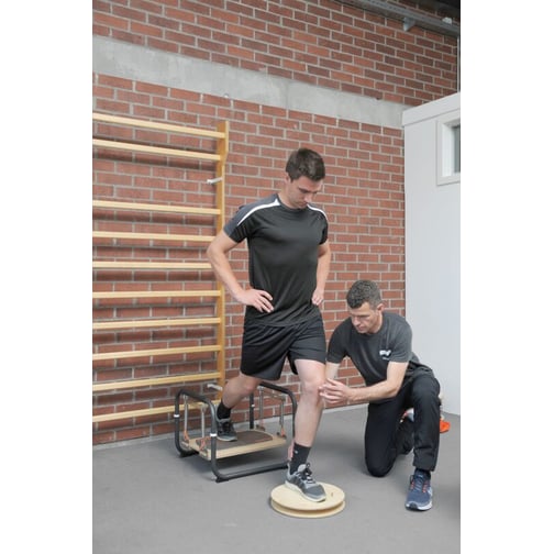Pedalo® Stabilisator Profi