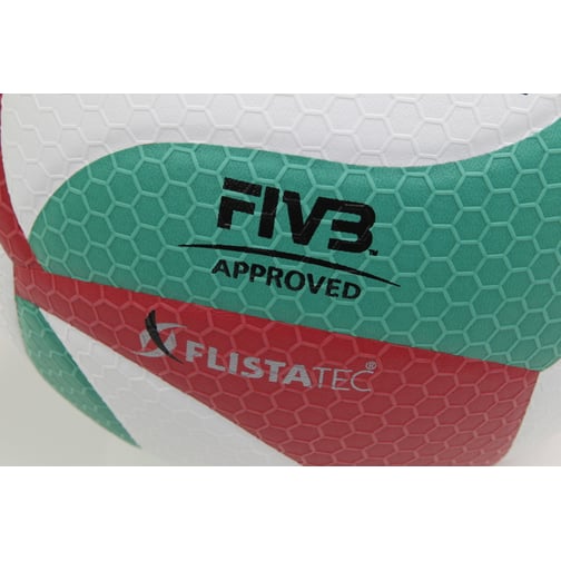 Molten® Volleyball V5M5000