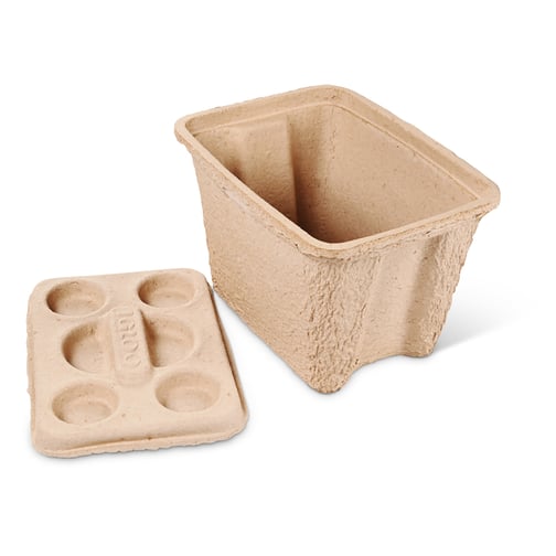Igloo RECOOL® Nachhaltige Kühlbox