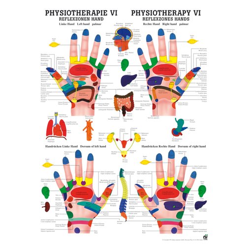 Poster - Reflexzonen Hand