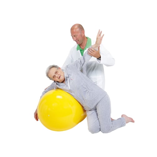 Gymnic® Physio Roll Gymnastikball