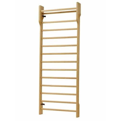 Ferrox® Sprossenwand, 250 x 90 cm