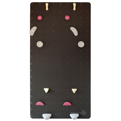 PhysioClimb® Kletterwand Standard