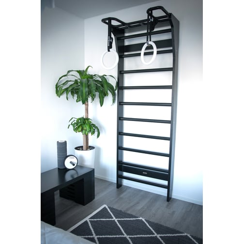 FitWood® AARNI Sprossenwand