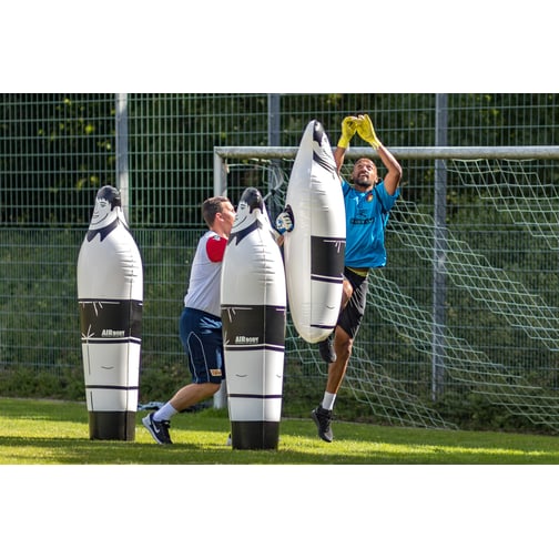 Filippi Push® für Torwarttraining