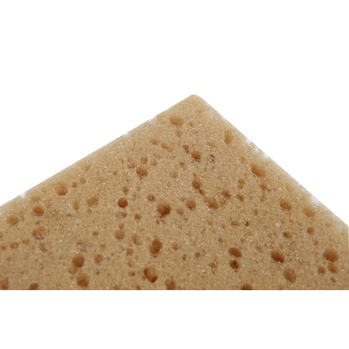 Tafelschwamm