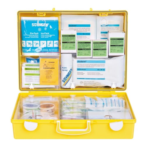 aluderm® Erste-Hilfe-Koffer MultiSPORT MT-CD, DIN 13157
